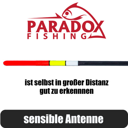 Waggler Set 5 Stück 2g+ 2g/3g/4g/5g/6g mit wechselbaren Gewichten