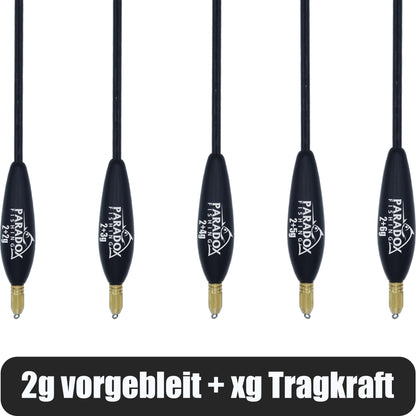 Waggler Set 5 Stück 2g+ 2g/3g/4g/5g/6g mit wechselbaren Gewichten