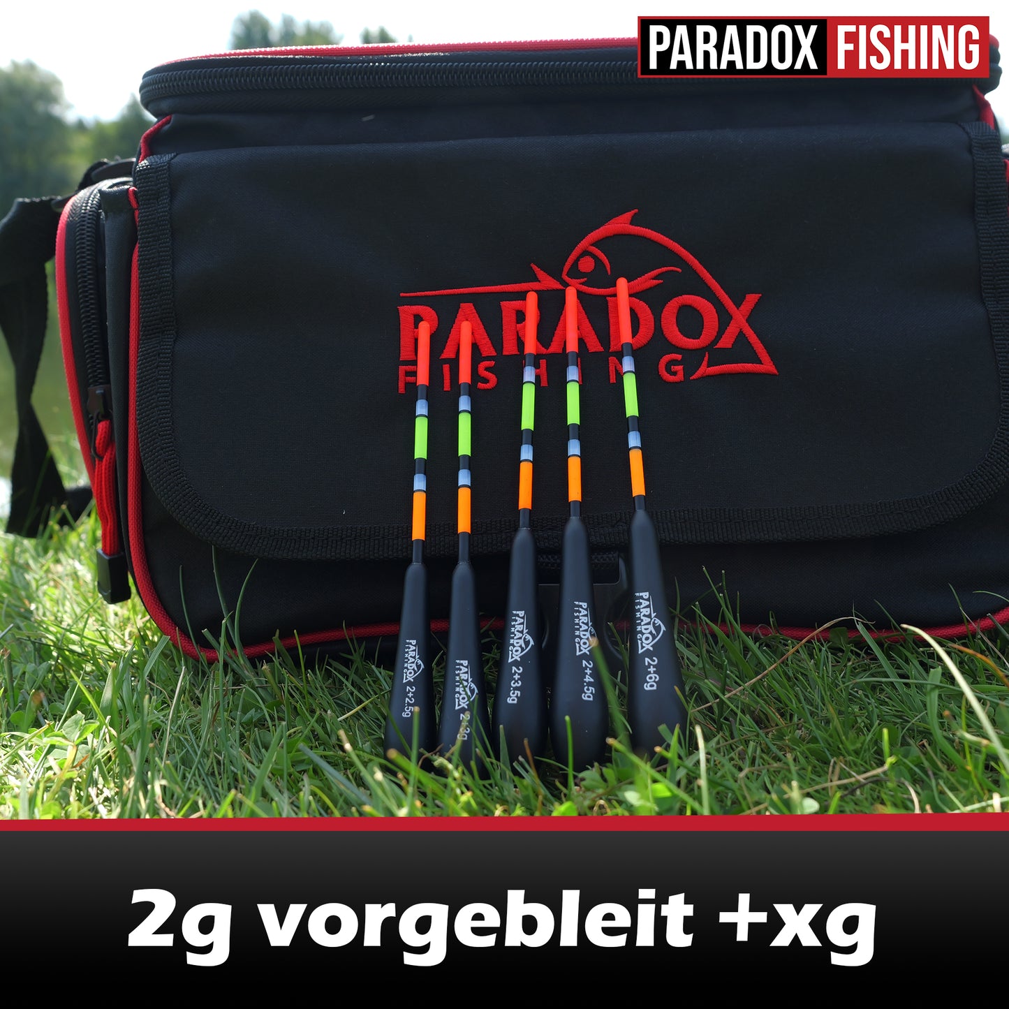 Posen-Set 5 Stück (2,5g-6g) 2g vorgebleit