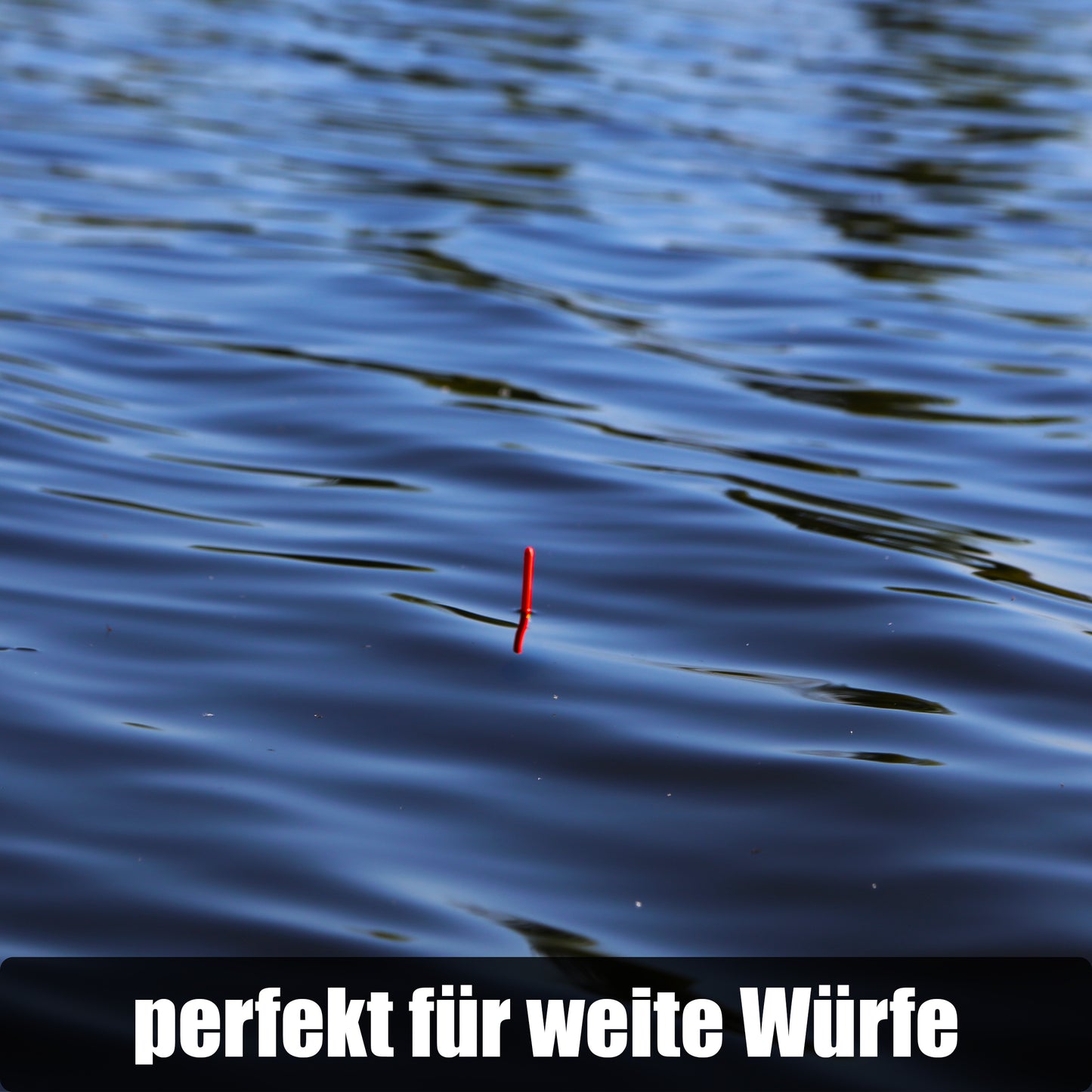 Waggler Set 5 Stück 2g+ 2g/3g/4g/5g/6g mit wechselbaren Gewichten