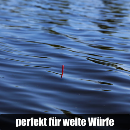 Waggler Set 5 Stück 2g+ 2g/3g/4g/5g/6g mit wechselbaren Gewichten