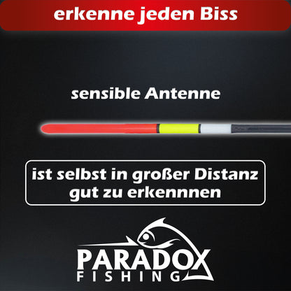 Waggler Set 5 Stück 2g+ 2g/3g/4g/5g/6g mit wechselbaren Gewichten