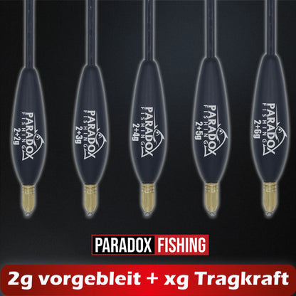 Waggler Set 5 Stück 2g+ 2g/3g/4g/5g/6g mit wechselbaren Gewichten