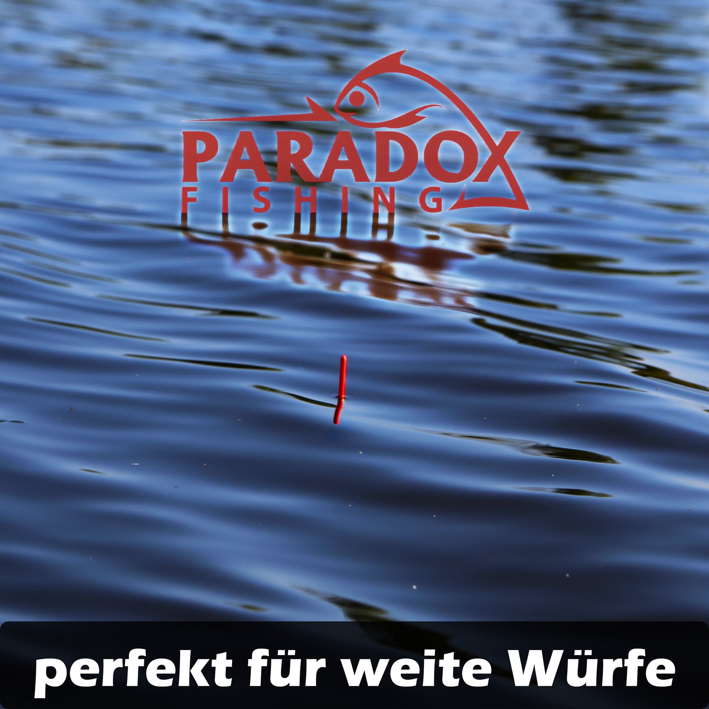 Waggler Set 5 Stück 2g+ 2g/3g/4g/5g/6g mit wechselbaren Gewichten
