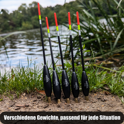Waggler Set 5 Stück 2g+ 2g/3g/4g/5g/6g mit wechselbaren Gewichten