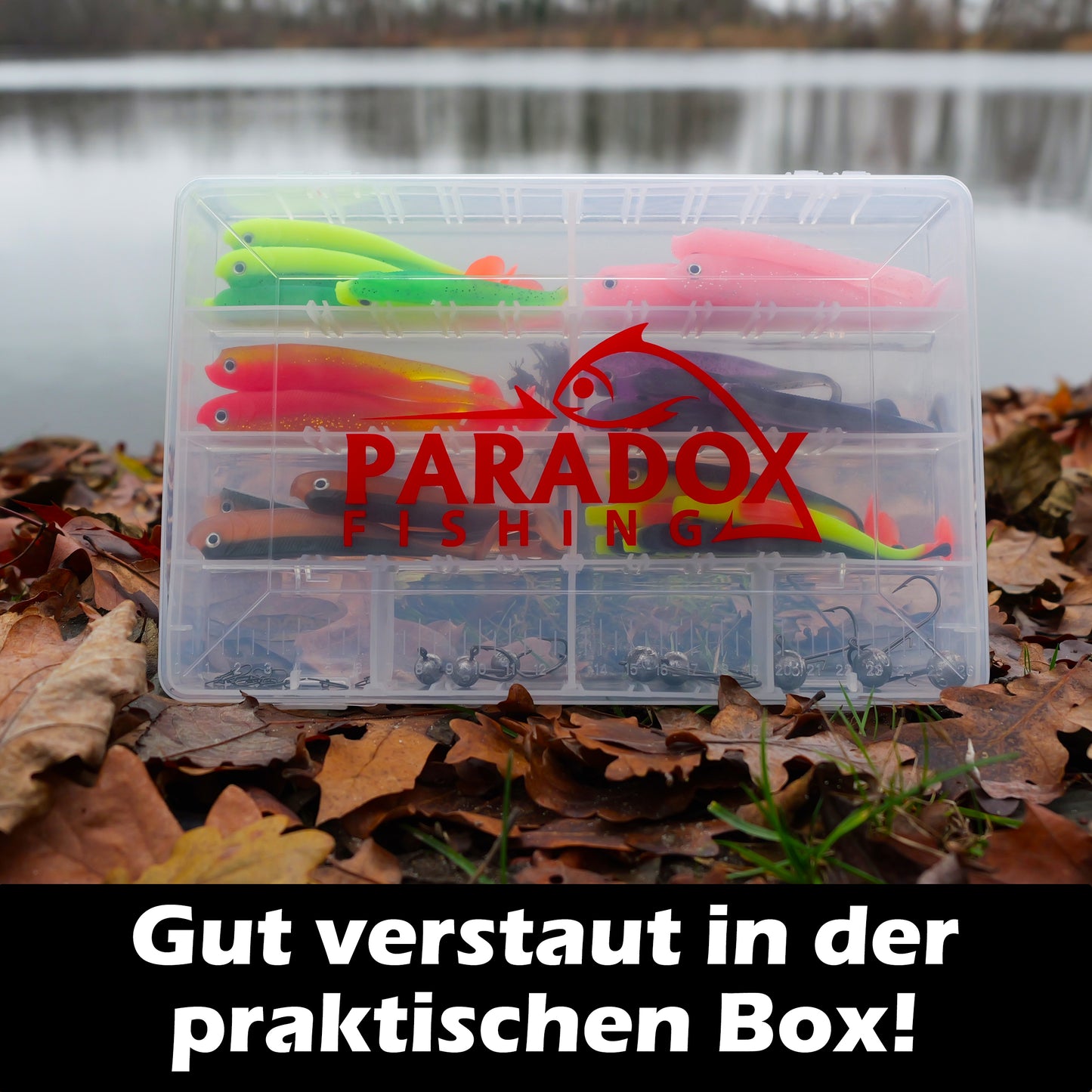 PX Zander Shad Gummifisch 10cm - verschiedene Farben