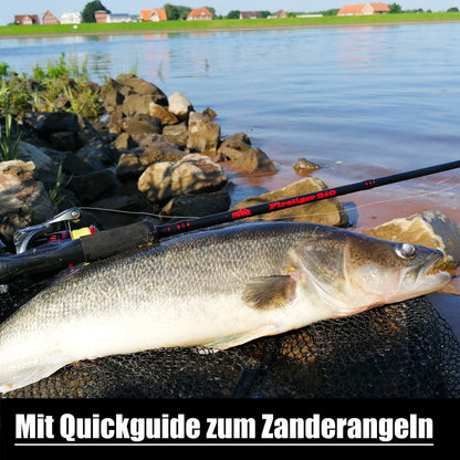 PX Zander Shad Gummifisch 13cm