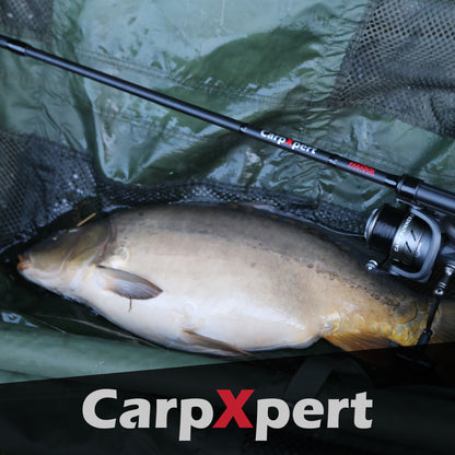 CarpXpert Karpfenrute 360 3lbs 3-Teilig