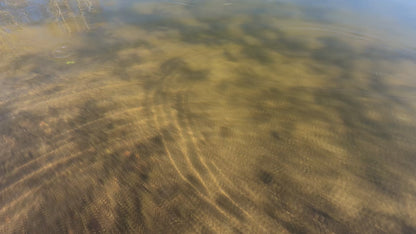 Wing Forellen Inline Spoon Set 2,0g/3,5g 5 Stück